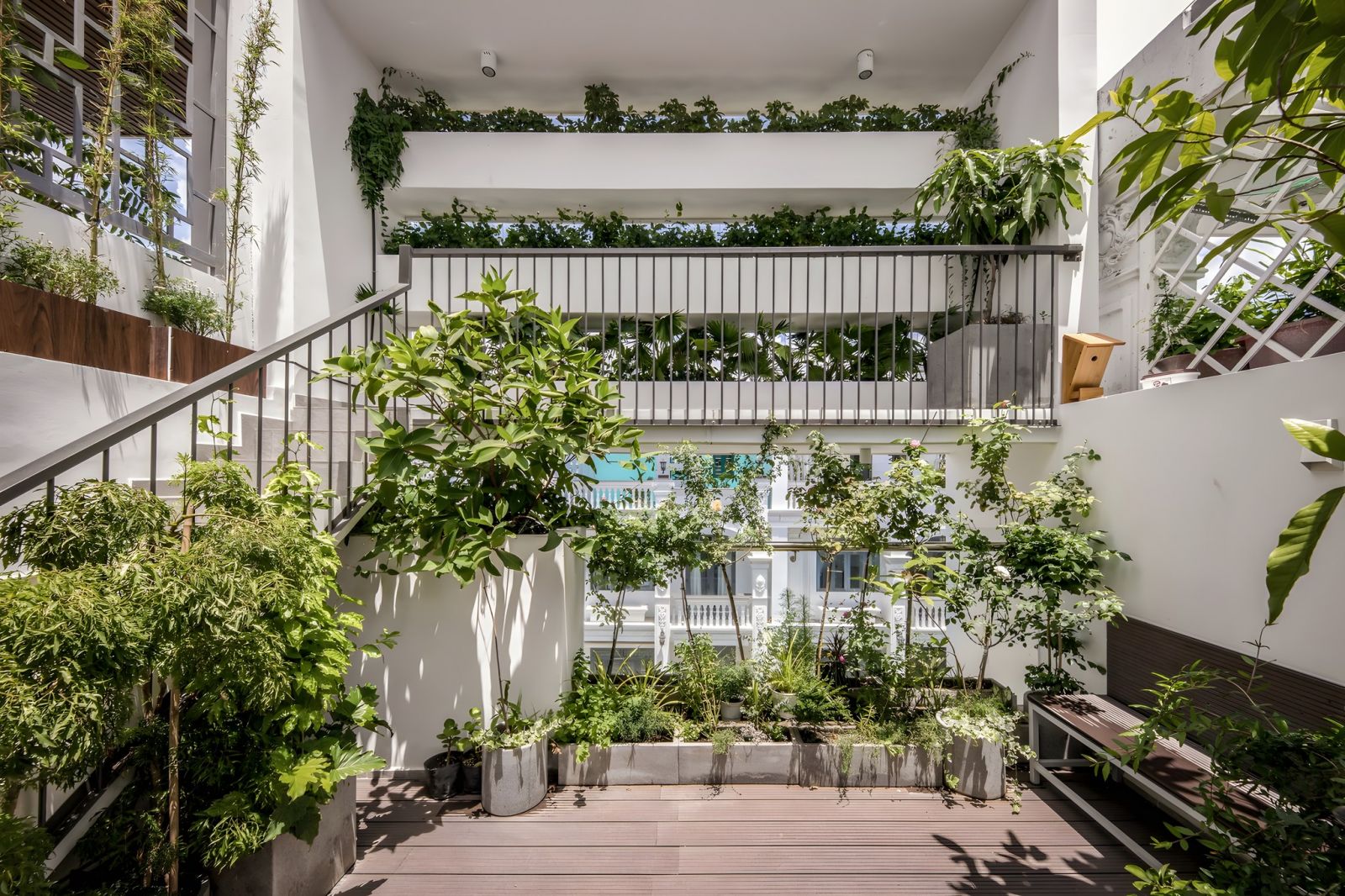 tiểu cảnh nhà phố tại hồ chí minh